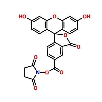 CAS:92557-80-7|5-FAM N-succinimidyl Ester