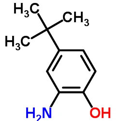 CAS: 1199-46-8|2-অ্যামিনো-4-tert-butylphenol