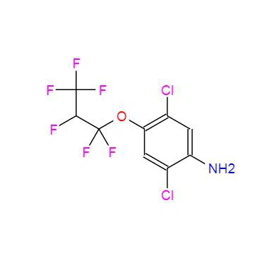 CAS:103015-84-5丨2,5-ডিক্লোরো-4-(1,1,2,3,3,3-হেক্সাফ্লুরোপ্রোপক্সি) বেনজেনামাইন