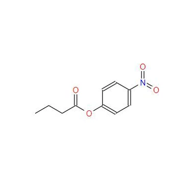 CAS:2635-84-9丨P-নাইট্রোফেনাইল বুটাইরেট